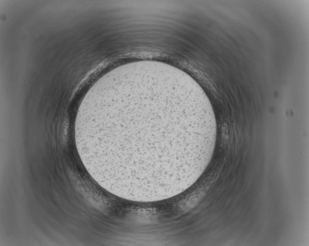 X0000085070304200704021418