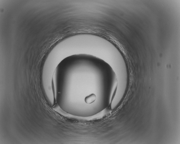 X0000085070305200704021418