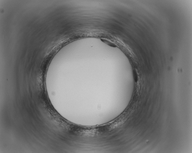 X0000085070306200704021418