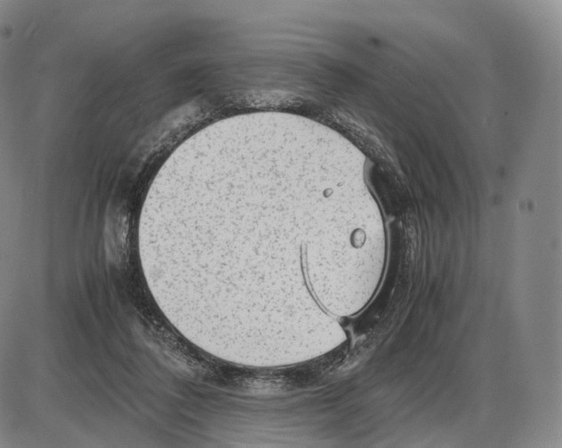 X0000085070308200704021418