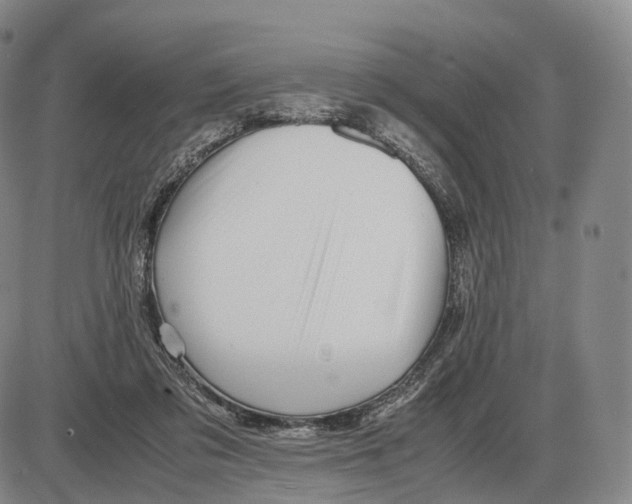 X0000085070309200704021418