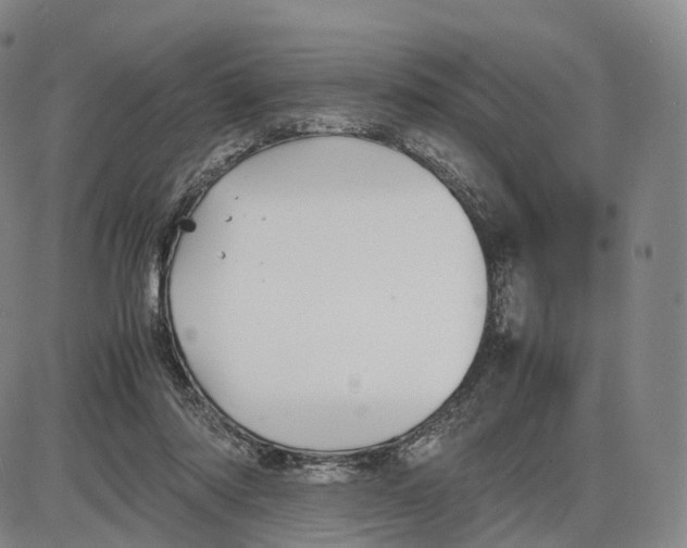 X0000085070310200704021418