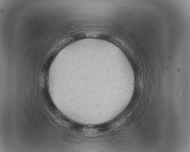 X0000085070311200704021418