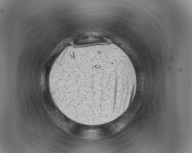 X0000085070312200704021418