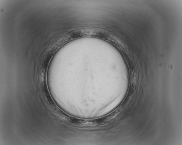 X0000085070315200704021417