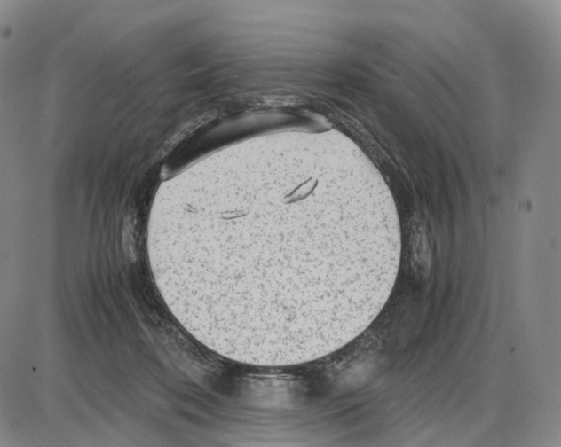 X0000085070316200704021417