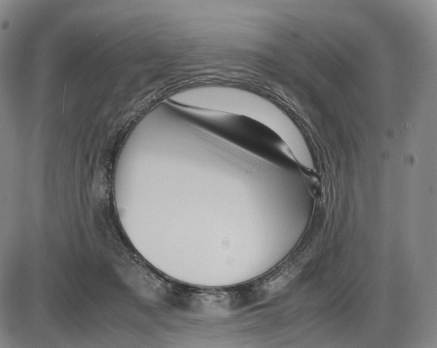 X0000085070317200704021417