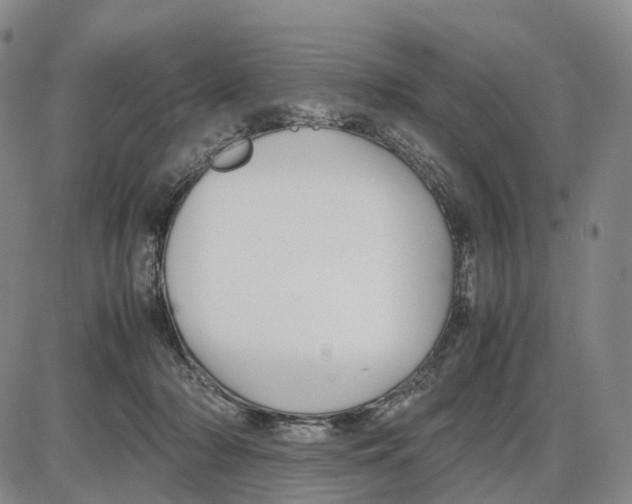 X0000085070318200704021417