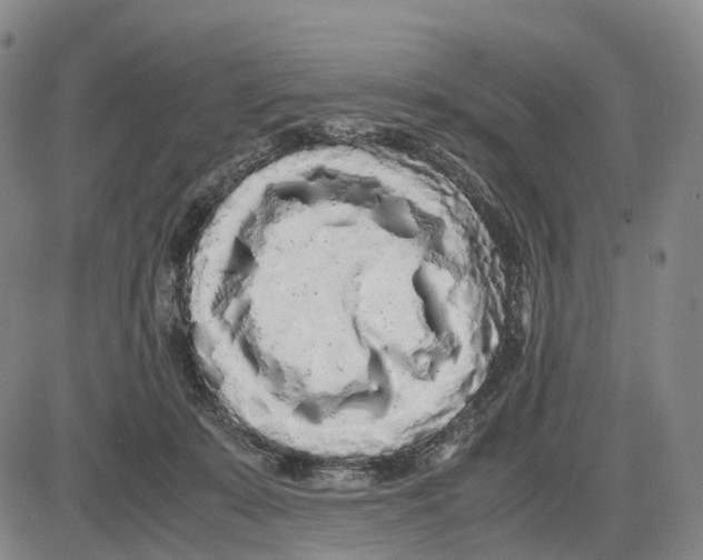 X0000085070319200704021417