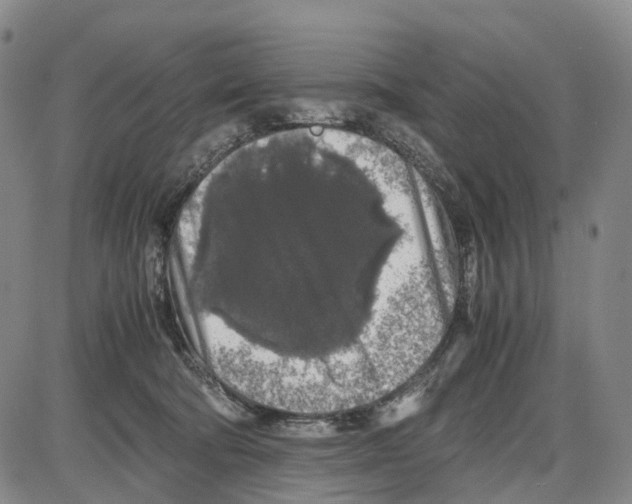 X0000085070322200704021417