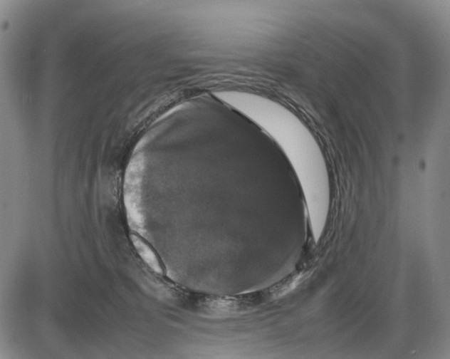 X0000085070325200704021417