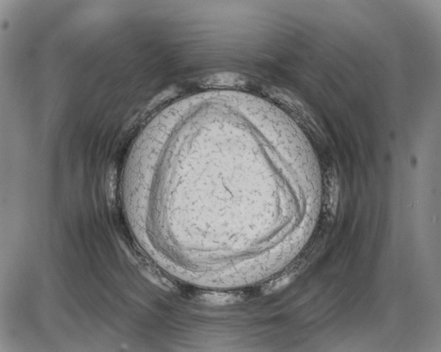 X0000085070326200704021417