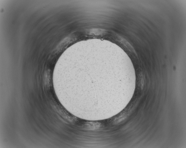 X0000085070328200704021417