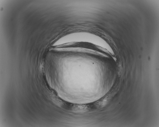 X0000085070329200704021417