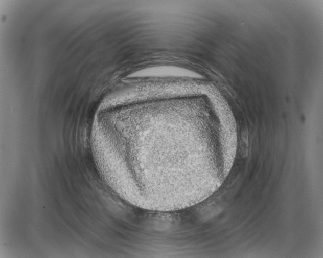 X0000085070330200704021417