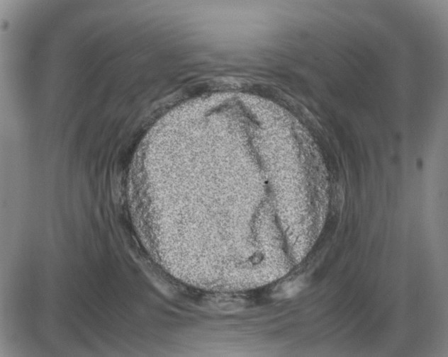 X0000085070331200704021417