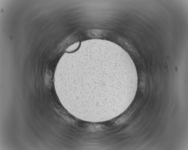 X0000085070332200704021417