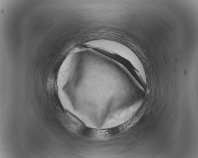 X0000085070333200704021417