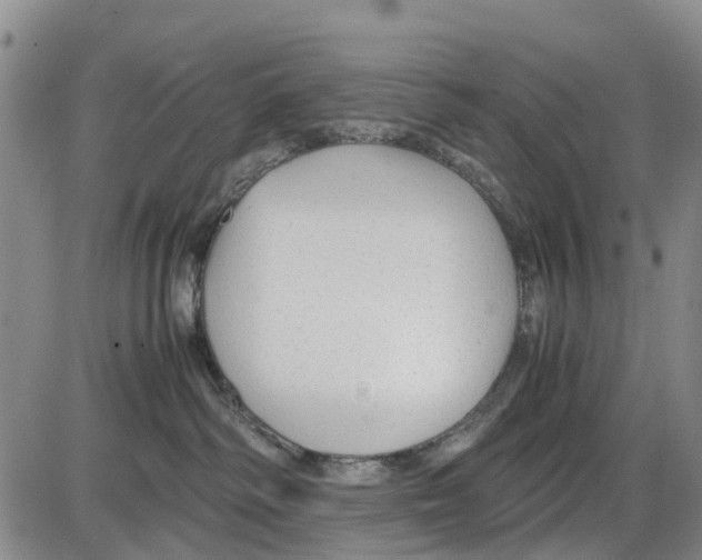 X0000085070334200704021417