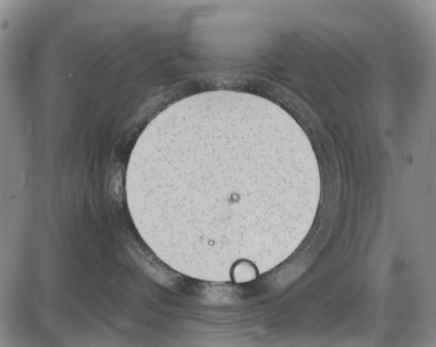 X0000085070336200704021417