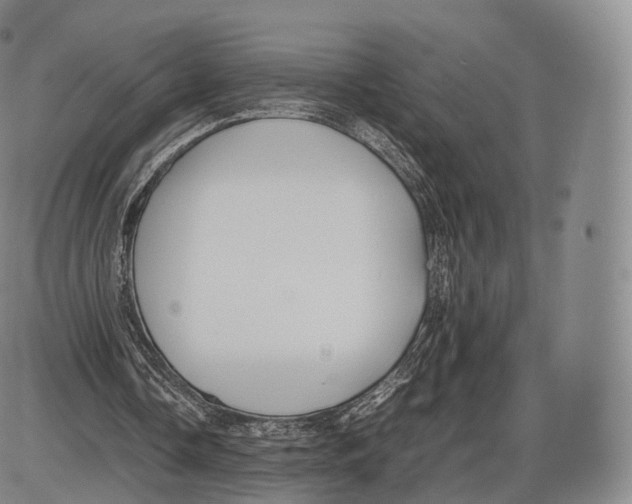 X0000085070338200704021416