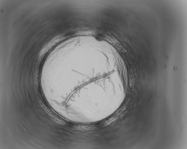 X0000085070341200704021416