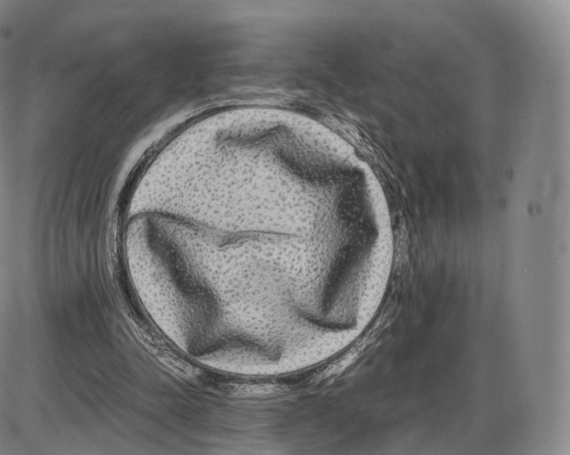 X0000085070342200704021416