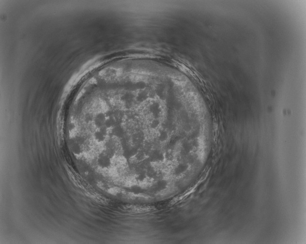 X0000085070343200704021416