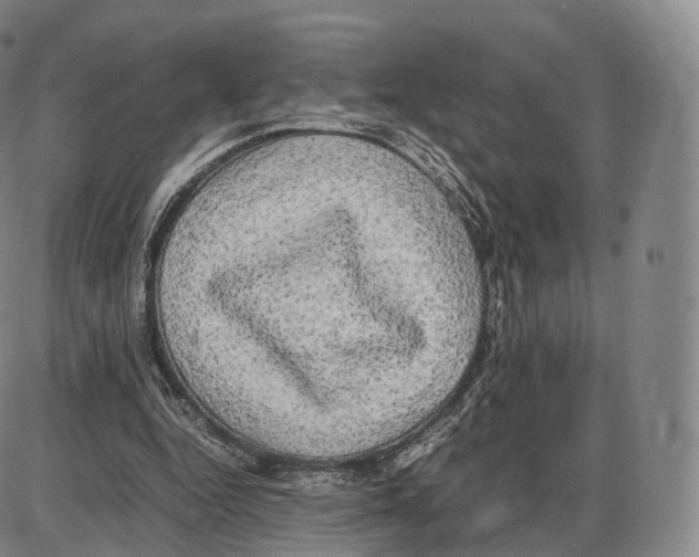 X0000085070344200704021416