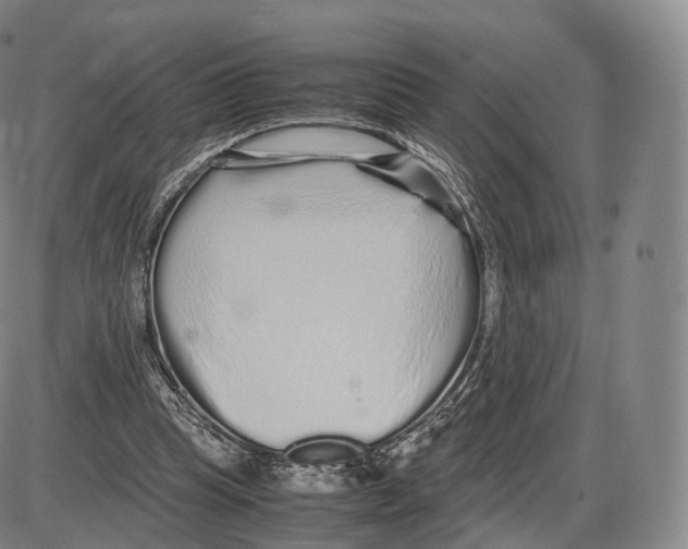 X0000085070345200704021416