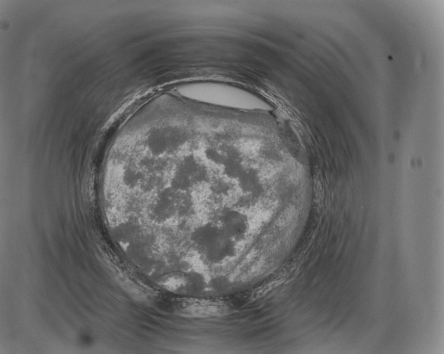 X0000085070347200704021417