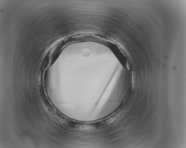 X0000085070348200704021417