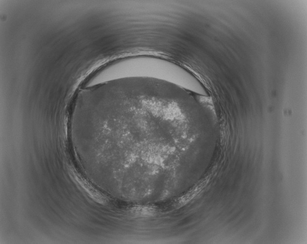 X0000085070350200704021417