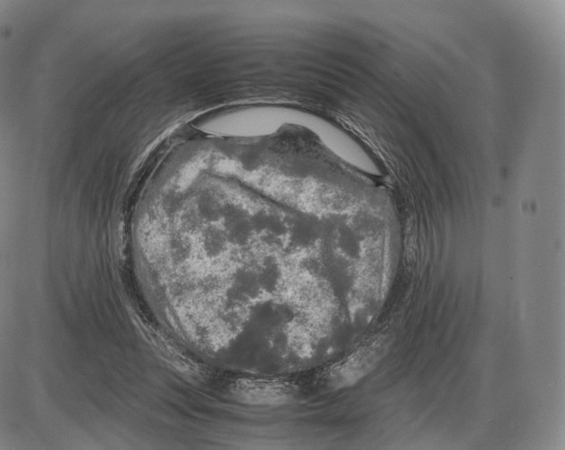 X0000085070351200704021417