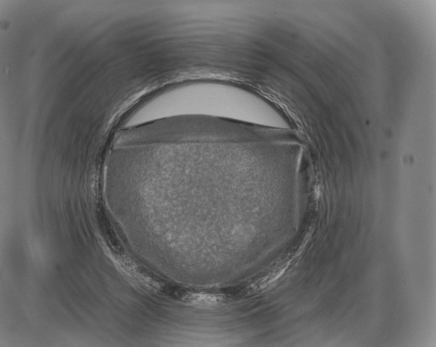 X0000085070352200704021417