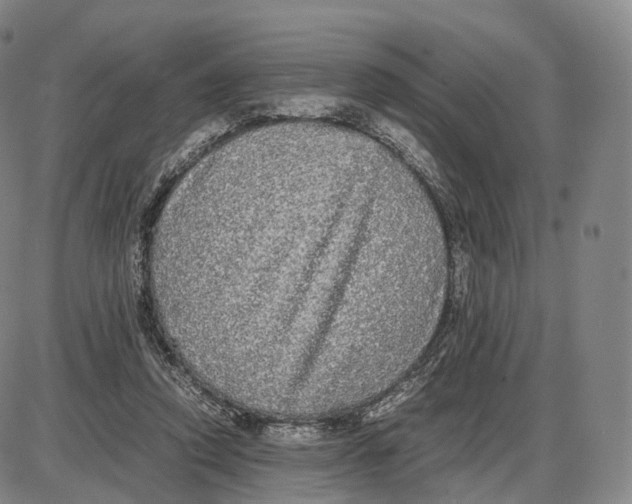 X0000085070354200704021417