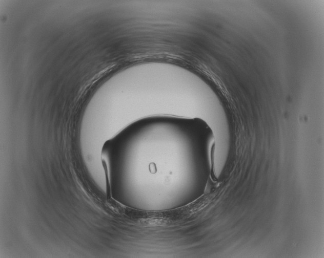 X0000085070356200704021417