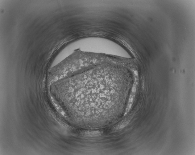 X0000085070357200704021417