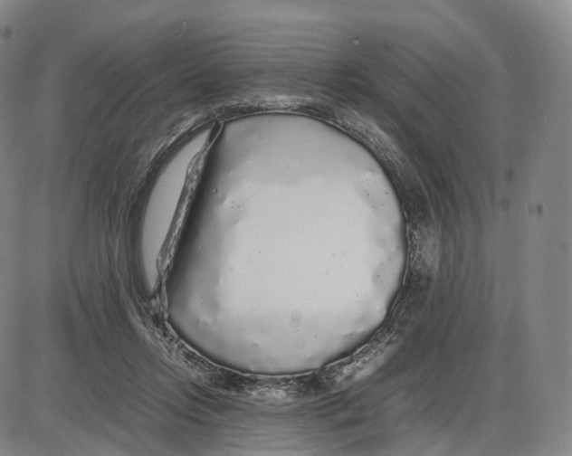 X0000085070358200704021417