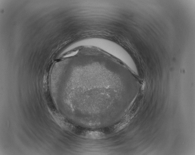 X0000085070360200704021417