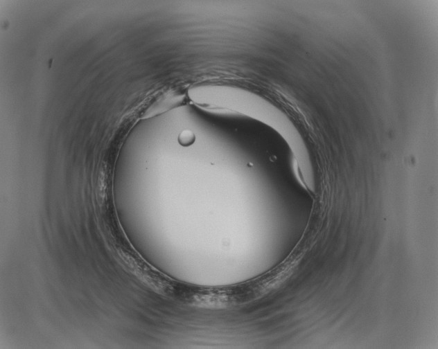 X0000085070362200704021417