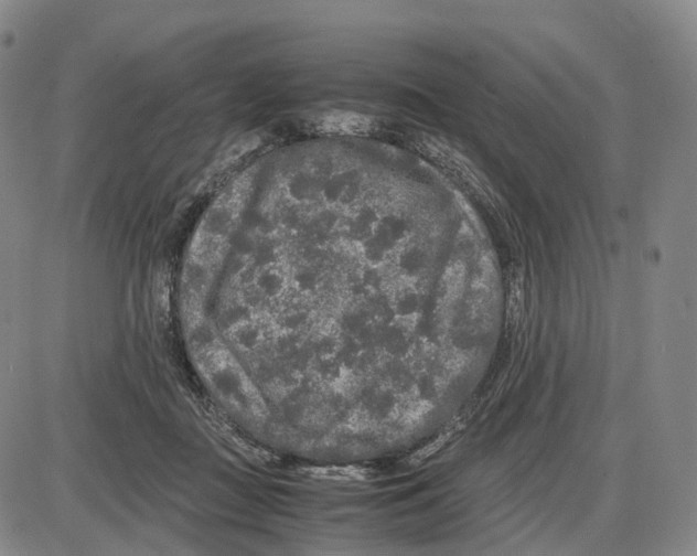 X0000085070363200704021417