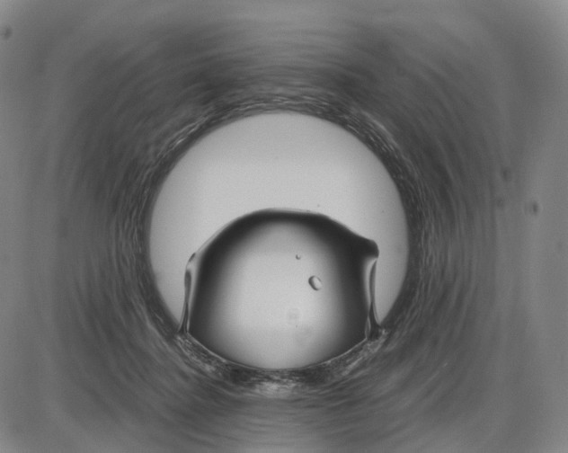 X0000085070364200704021417