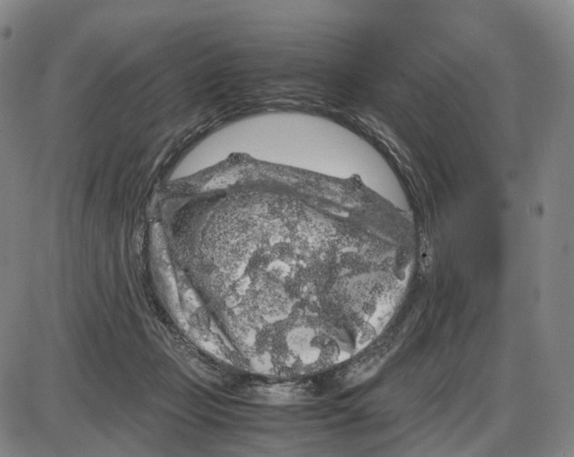 X0000085070365200704021417