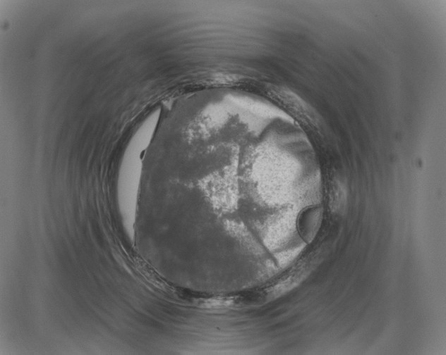 X0000085070366200704021417