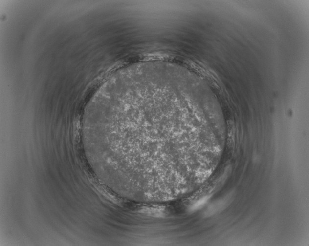 X0000085070369200704021417