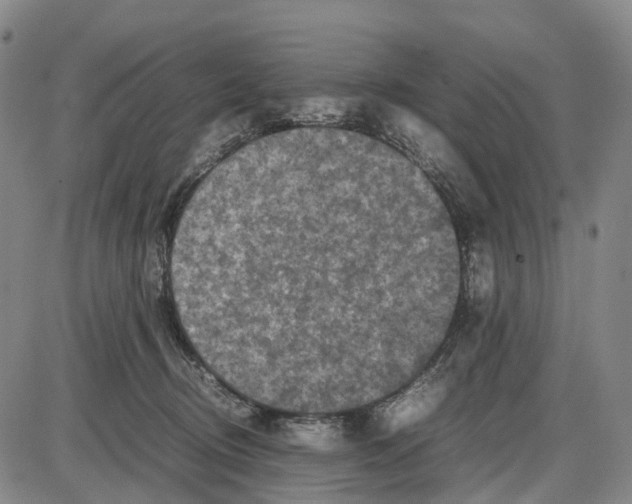 X0000085070370200704021417