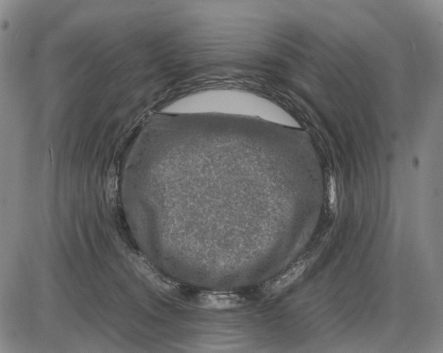 X0000085070372200704021417