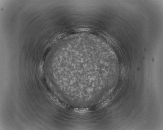 X0000085070373200704021417