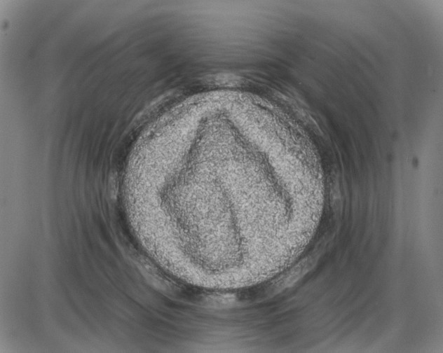 X0000085070374200704021417